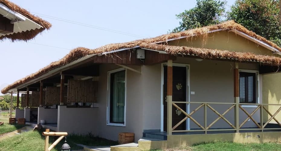 Asiatic Lion Lodge, Sasan Gir 5